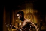 Wolverine 3D