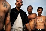 Narko Kultura - pokolji meksičkih narko kartela uz melodije tradicionalne glazbe