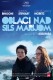 Oblaci nad Sils Marijom | Clouds of Sils Maria, (2014)