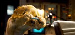 O mačkama i psima 2: Osveta Kitty Galore / Službeni trailer