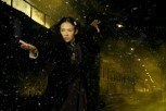 The Grandmaster The Grandmaster