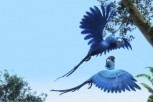 Rio 2: Simpatičan obiteljski izlet