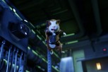 G-Force G-Force
