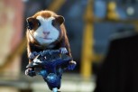 G-Force G-Force
