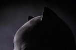 Batman V Superman: Zora pravednika