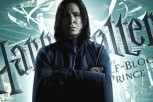 Harry Potter i princ miješane krvi