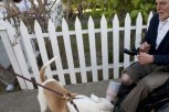Jackass 3D