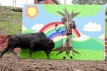 Jackass 3D