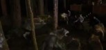 Sumrak saga: Praskozorje (prvi dio) / Teaser trailer