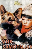 Vuk samotnjak