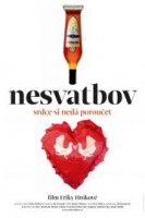 Načelnik provodadžija