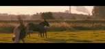 Alabama Monroe / Trailer