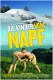 Djeca s planine Napf