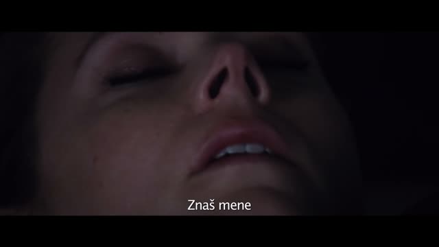 Noćne životinje / Trailer