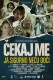 Cekaj me, ja sigurno necu doci | Wait for Me and I Will Not Come, (2009)