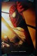 Spiderman | Spider-man, (2002)