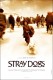 Psi lutalice | Stray Dogs, (2005)