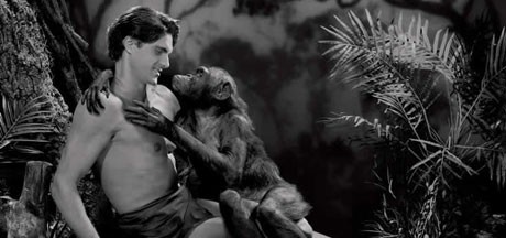 Kad se Tarzan zaljulja...