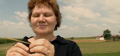 Ištvančićev film "Od zrna do slike" u selekciji Fingal Film Festivala Ištvančićev film "Od zrna do slike" u selekciji Fingal Film Festivala