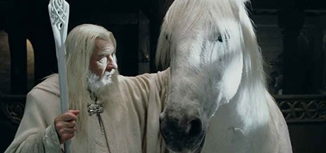 Preminuo Gandalfov ljepotan Shadowfax Preminuo Gandalfov ljepotan Shadowfax
