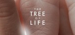Malickovo "Drvo života" spremno za Cannes
