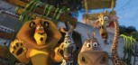 Stigao trailer za Madagascar 3