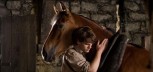 Vikend kino preporuka: Put rata (War Horse) Vikend kino preporuka: Put rata (War Horse)